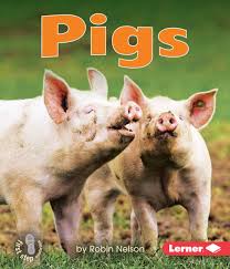Pigs Book Cover