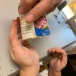 package of seeds being poured into a childn's hands