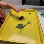 student hand reaching out to touch a caterpillar on a yellow tray