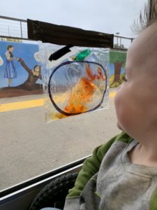 boy looking at the drawing of a pumpkin on a ziploc bag, inside the bag is the inside of a pumpkin with seeds and the bag is taped to a window