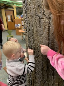 boy feels a fake tree inside the library