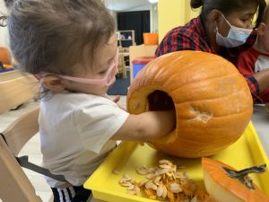 girl wearing glasses sticking her hand into a pumpkin that has the top cut off