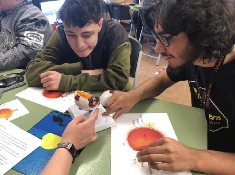 Two student look at a model of an eyeball